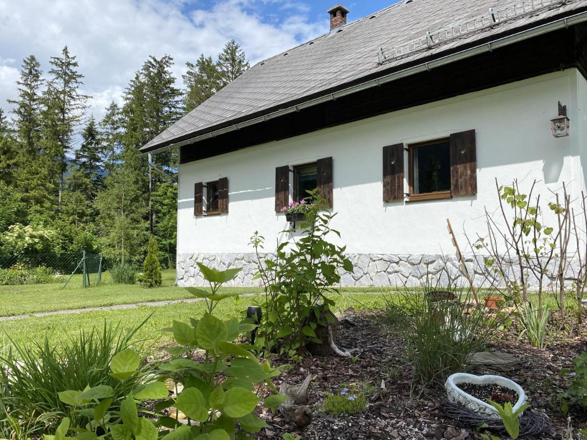 Chalet Am Weissenbach Hinterstoder Buitenkant foto