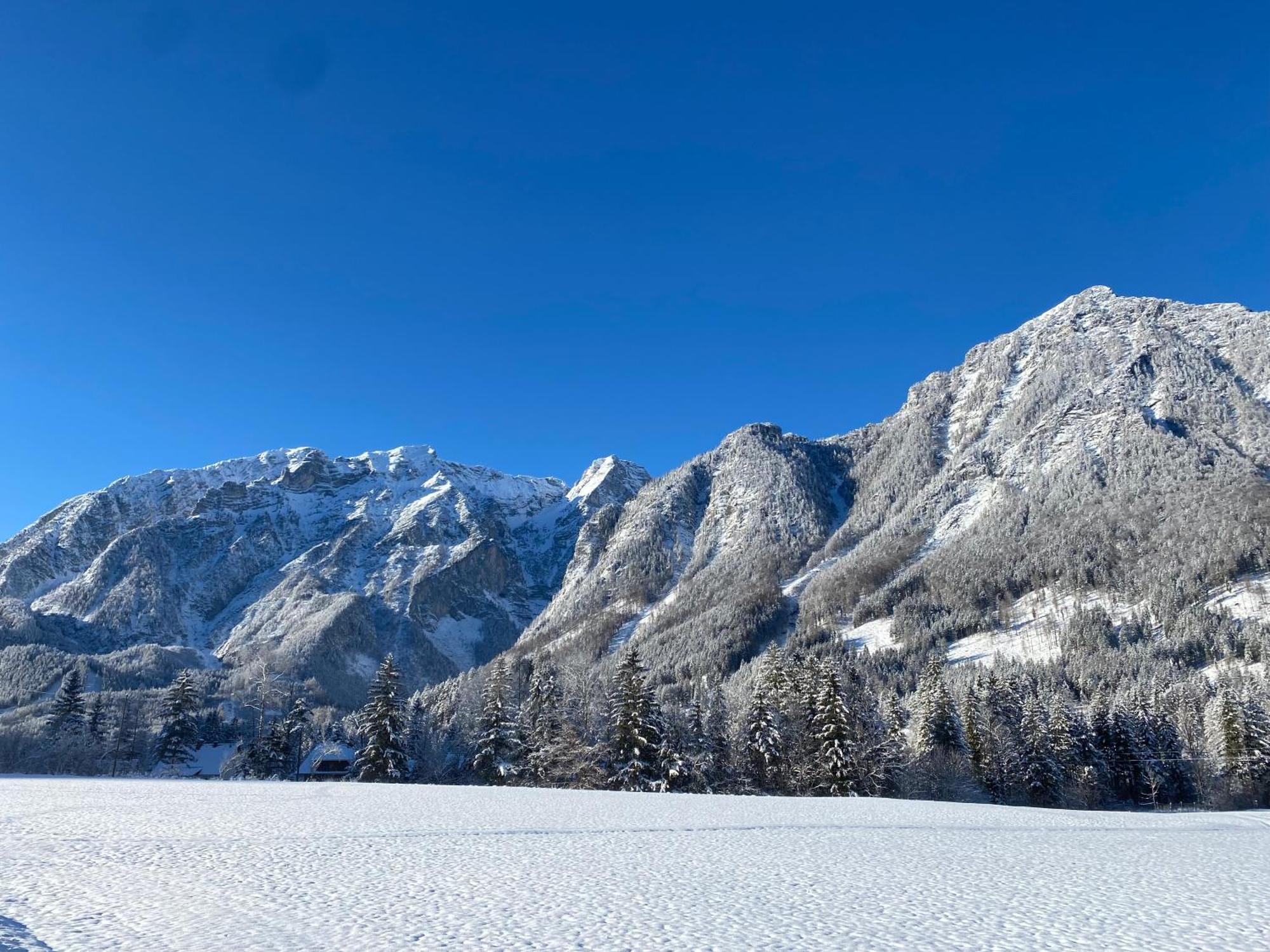 Chalet Am Weissenbach Hinterstoder Buitenkant foto